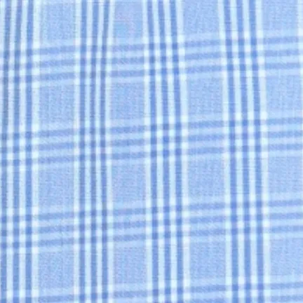 Checked Blue Shirt