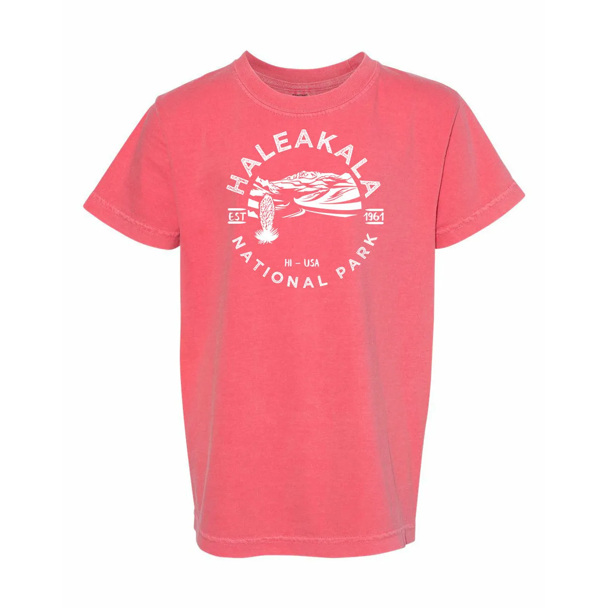 Haleakala National Park Youth Comfort Colors T shirt