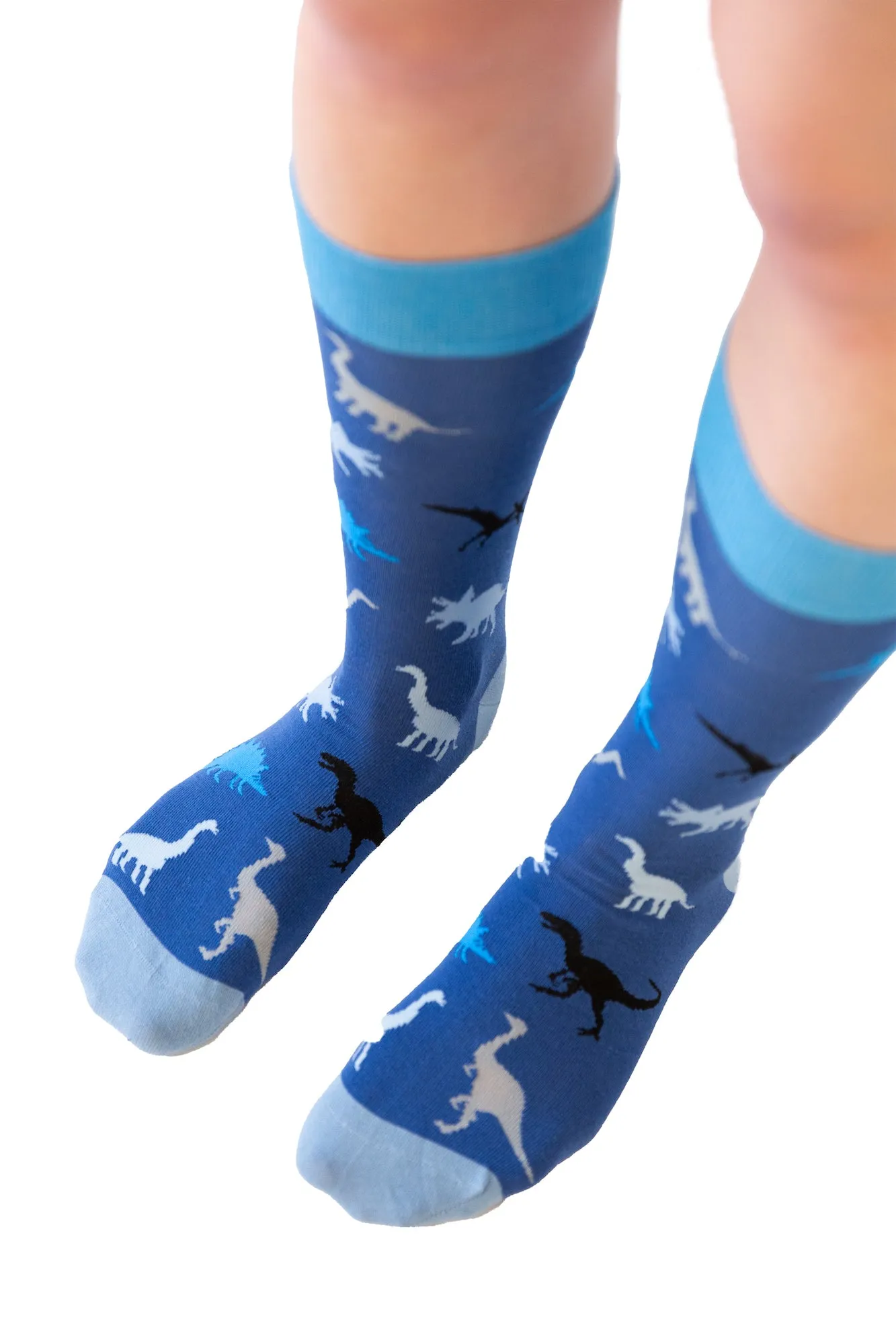 Mens Dinosaurs Socks