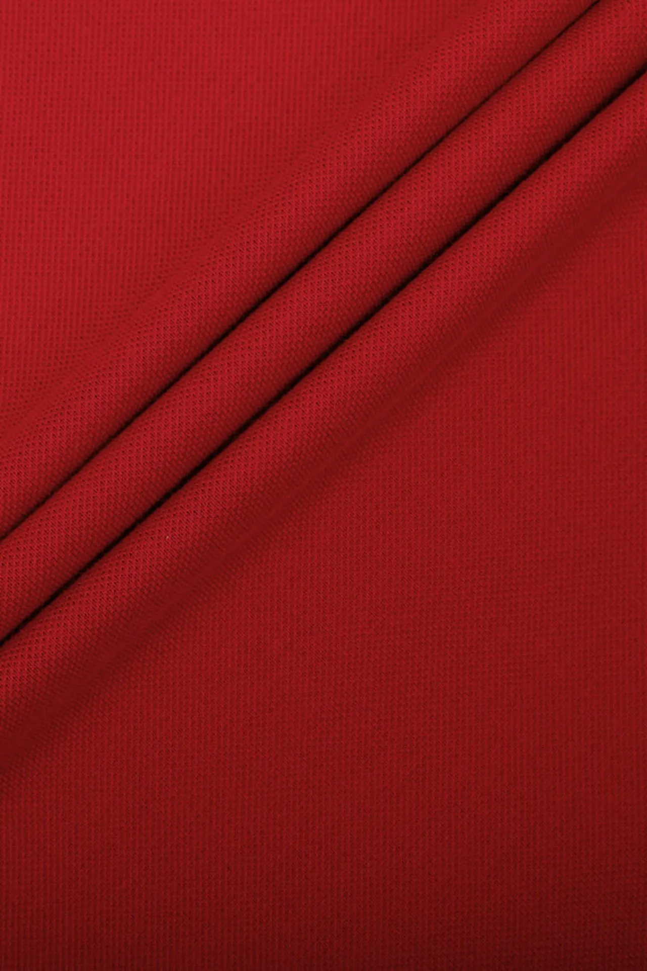 Non-Iron Pure Cotton Stand Collar Polo Tee