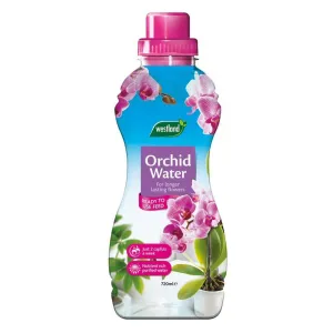Westland 200ml Cacti & Succulent Feed Concentrate