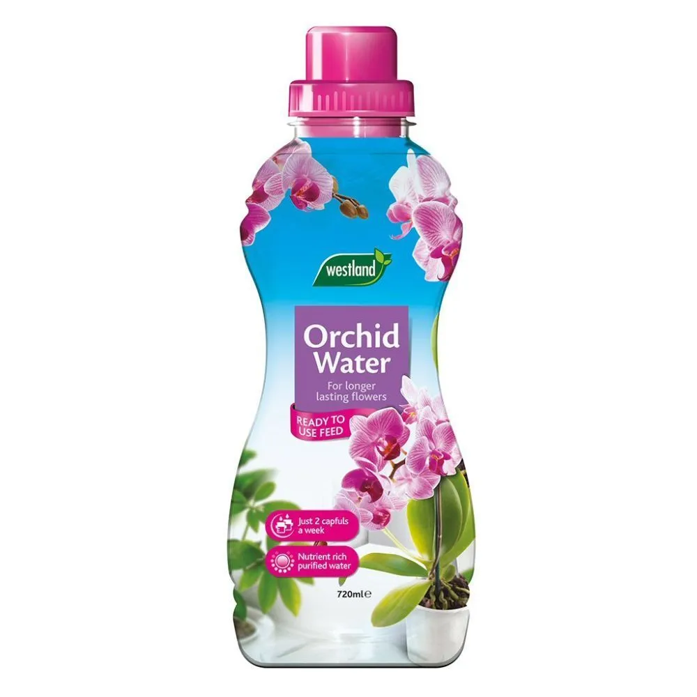 Westland 200ml Cacti & Succulent Feed Concentrate
