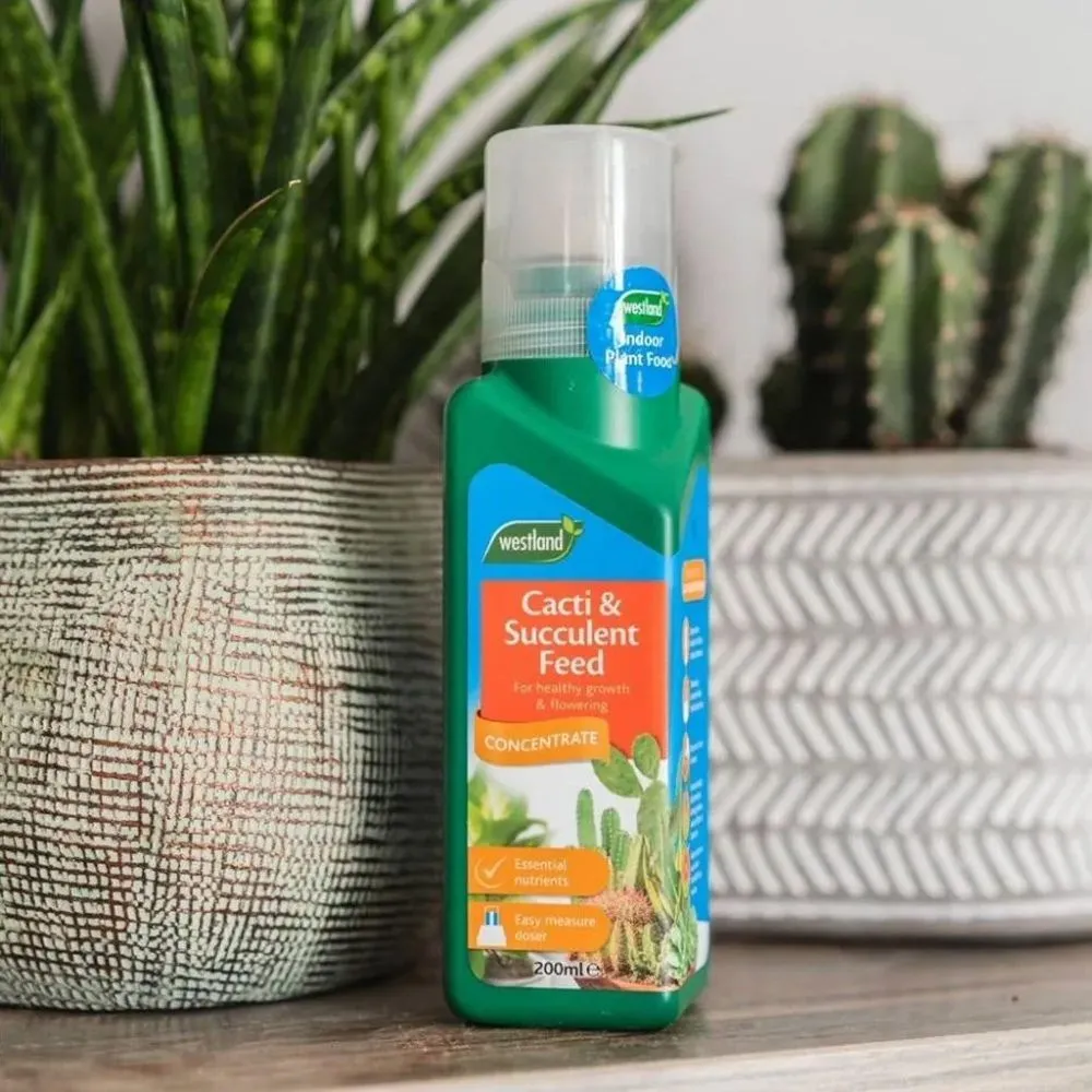 Westland 200ml Cacti & Succulent Feed Concentrate